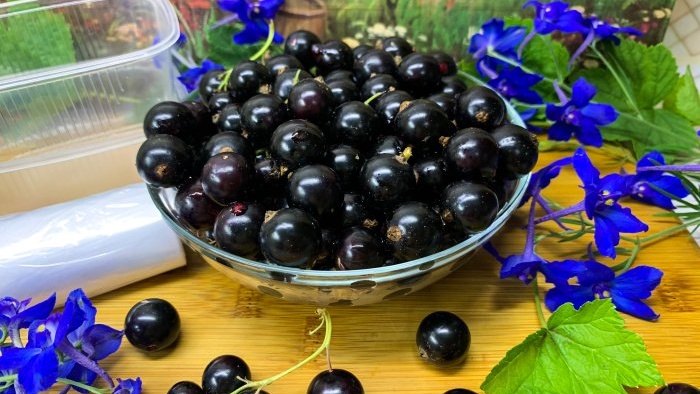 As many as 3 ways to freeze blackcurrants for the winter without sugar