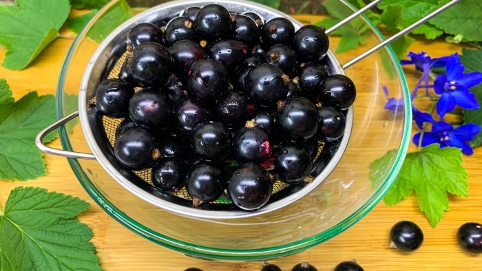 As many as 3 ways to freeze blackcurrants for the winter without sugar