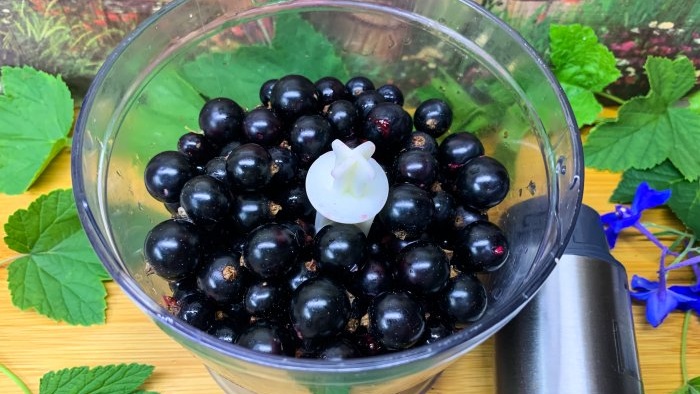 As many as 3 ways to freeze blackcurrants for the winter without sugar