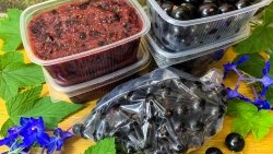 As many as 3 ways to freeze blackcurrants for the winter without sugar