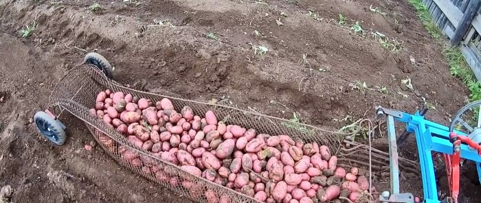 DIY potato digger from trash