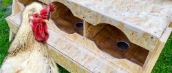 How to make chicken nests with egg receptacles from OSB