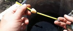 “Drunk” float made from a piece of polystyrene foam and a lollipop tube