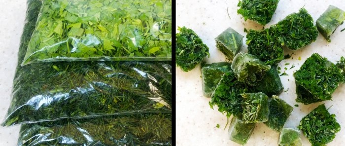 How to freeze dill, parsley and other greens - basic rules