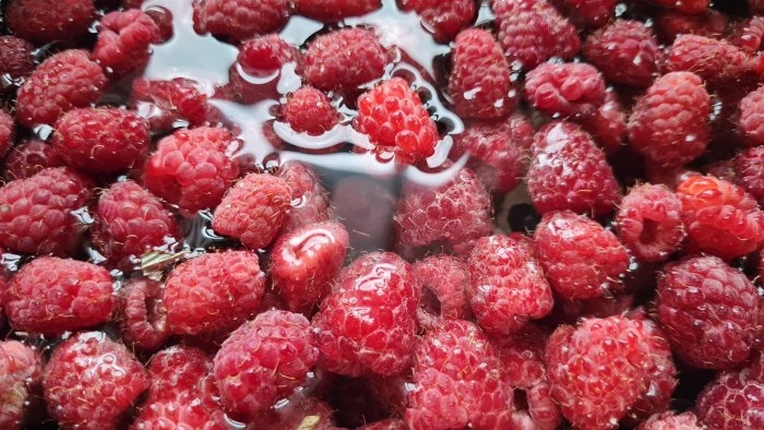 Raspberry jam without thickeners