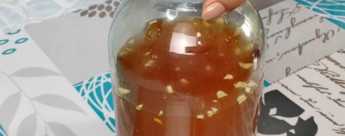 How to prepare Petrovsky kvass without yeast